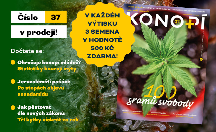 promo předplatného časopisů